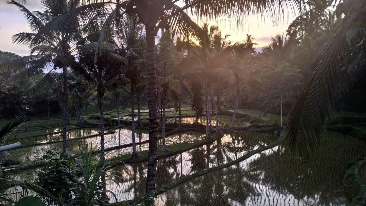 特特巴图Bale Kembang Kuning公寓 外观 照片