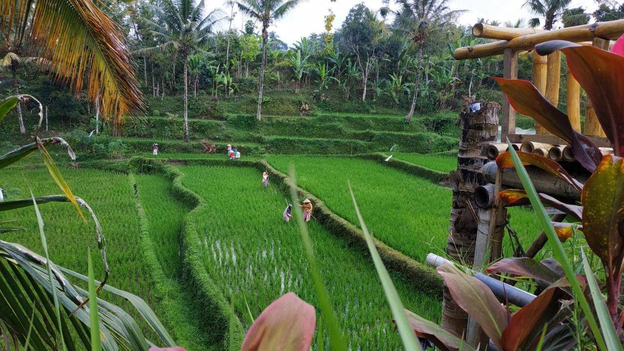 特特巴图Bale Kembang Kuning公寓 外观 照片